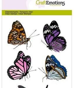 VLINDERS / LIBELLE A6