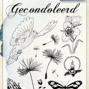 STERKTE / GECONDOLEERD 105X148 MM