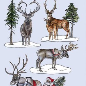 Arreslee met kerstman en rendieren A5