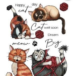 A6 - KATTEN 1
