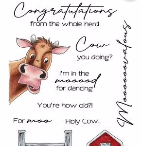 A6-COWS 5